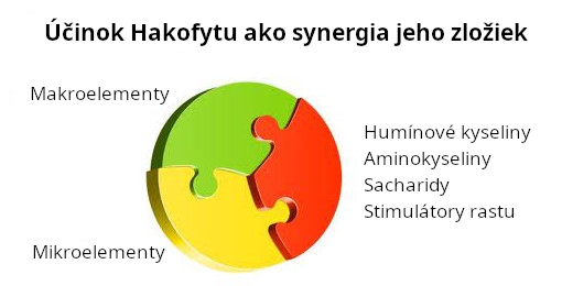 Účinok Hakofytu ako synergia jeho zložiek